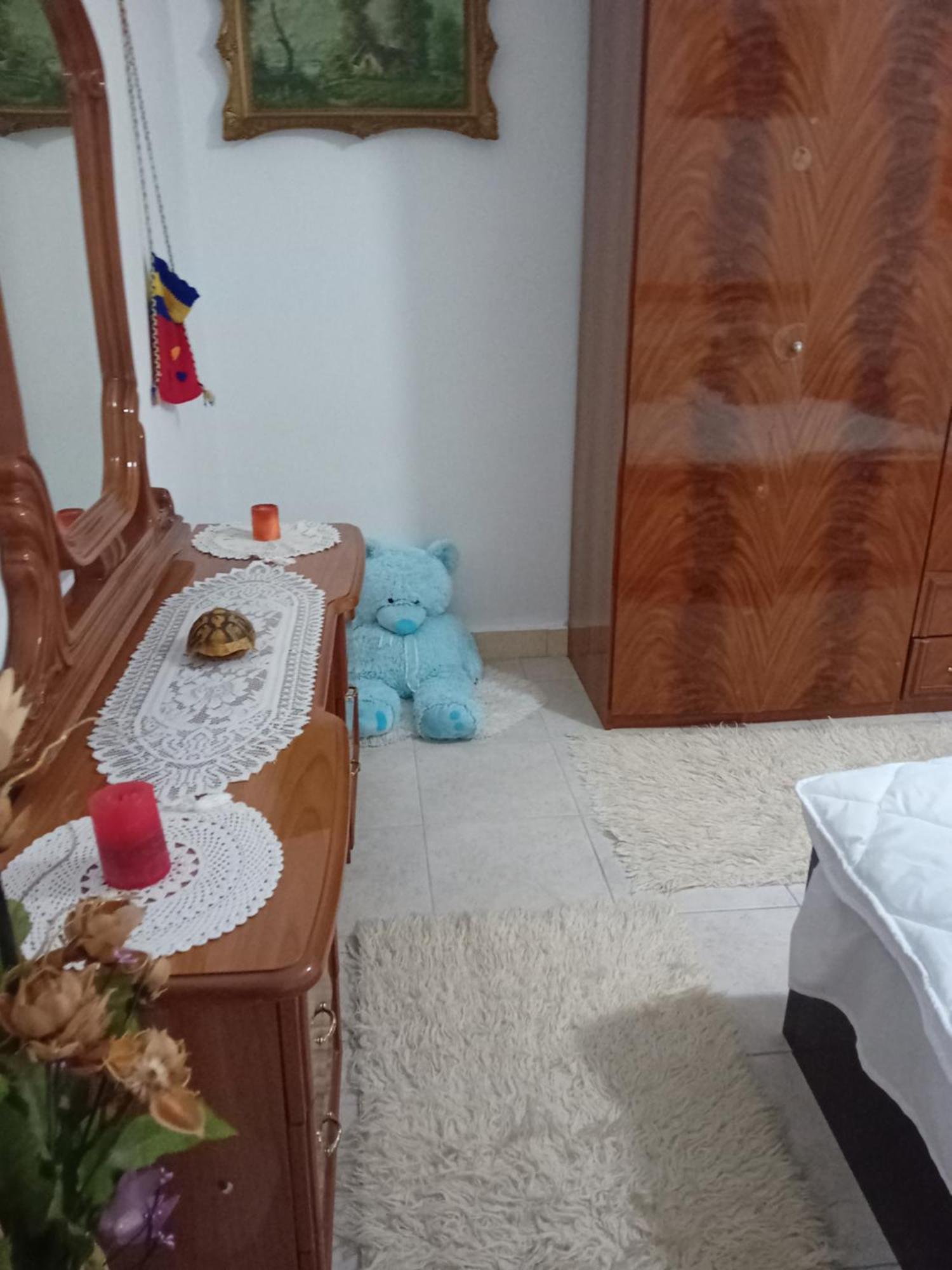 Olivia Guesthouse Gjirokastër 外观 照片